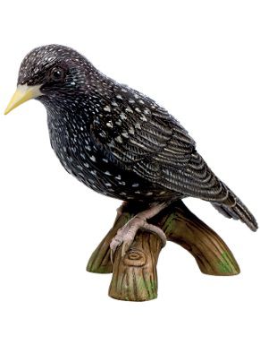 Der Vogel des Jahres von Goebel: Star 5,5 cm